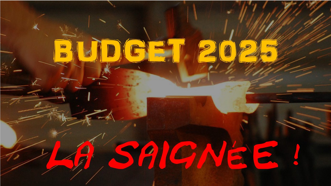 Budget 2025 La Saignée