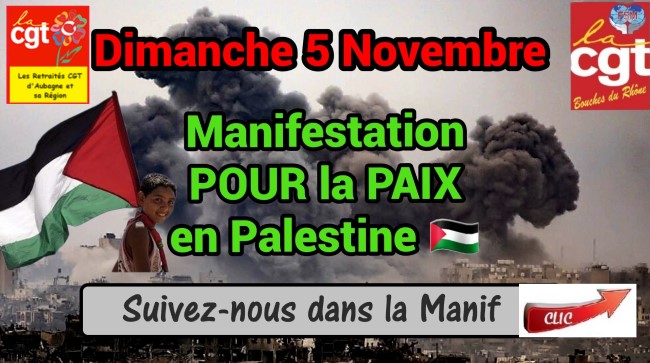 CR manif 05 11 Palestine